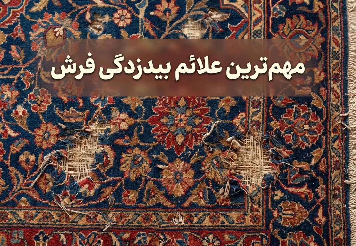 مهم‌ترین علائم بیدزدگی فرش